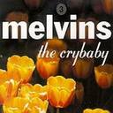 Melvins Mine Is No Disgrace lyrics 